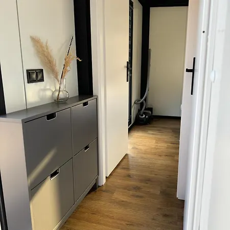 Maya Tempel - De Ijsvogel *