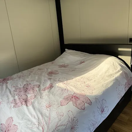 Maya Tempel - De Ijsvogel 营地 福尔特赫伊曾