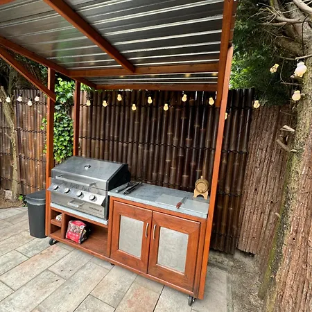 Maya Tempel - De Ijsvogel 营地 *