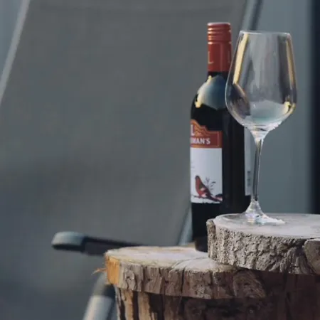 Maya Tempel - De Ijsvogel * 福尔特赫伊曾