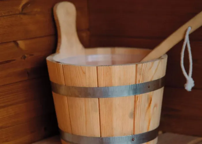 Maya Tempel - De Ijsvogel 营地 *