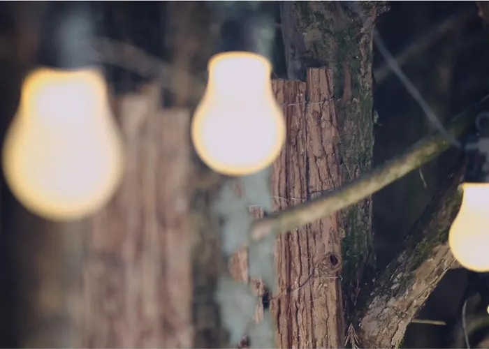 Maya Tempel - De Ijsvogel 福尔特赫伊曾